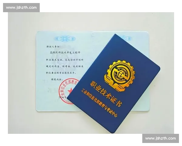 以专项能力提升为核心的职业发展策略与实践探索